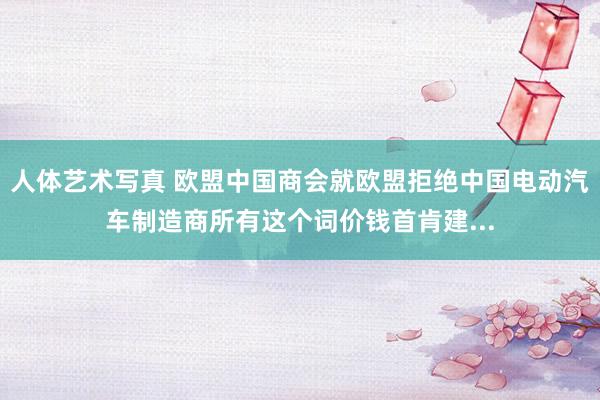 人体艺术写真 欧盟中国商会就欧盟拒绝中国电动汽车制造商所有这个词价钱首肯建...