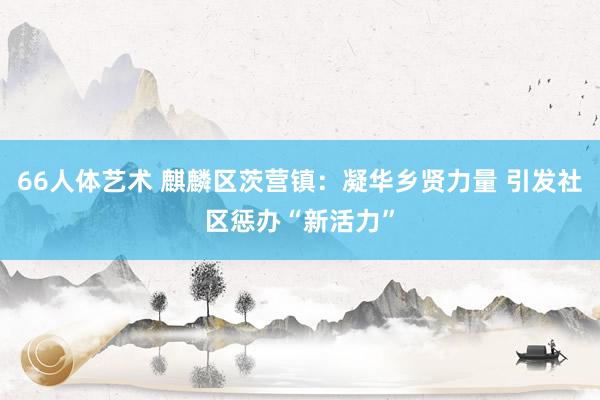 66人体艺术 麒麟区茨营镇：凝华乡贤力量 引发社区惩办“新活力”