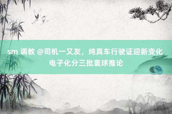 sm 调教 @司机一又友，纯真车行驶证迎新变化 电子化分三批寰球推论
