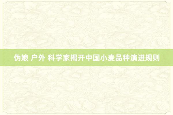 伪娘 户外 科学家揭开中国小麦品种演进规则