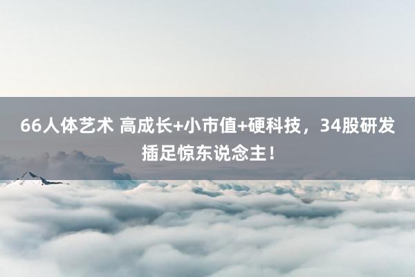 66人体艺术 高成长+小市值+硬科技，34股研发插足惊东说念主！