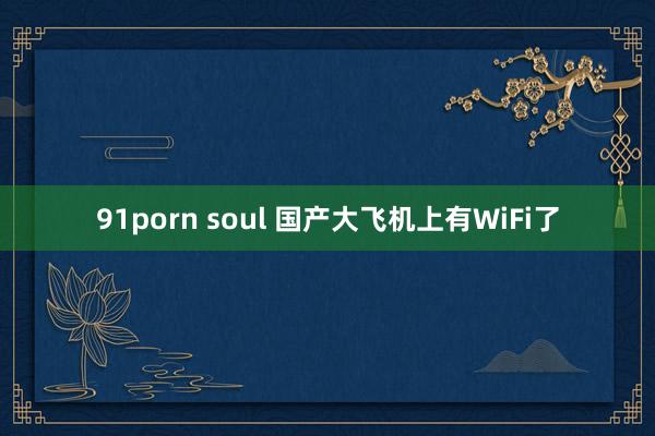 91porn soul 国产大飞机上有WiFi了