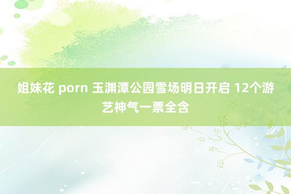 姐妹花 porn 玉渊潭公园雪场明日开启 12个游艺神气一票全含