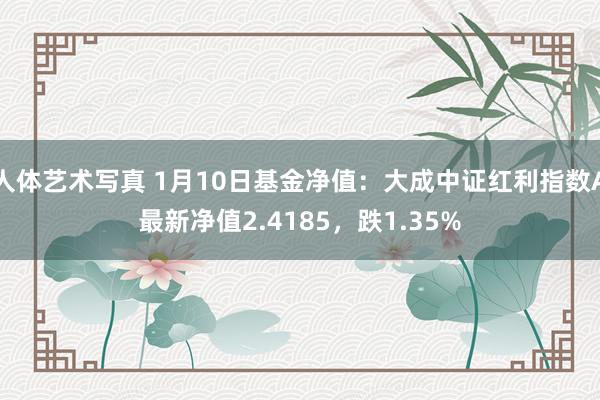 人体艺术写真 1月10日基金净值：大成中证红利指数A最新净值2.4185，跌1.35%