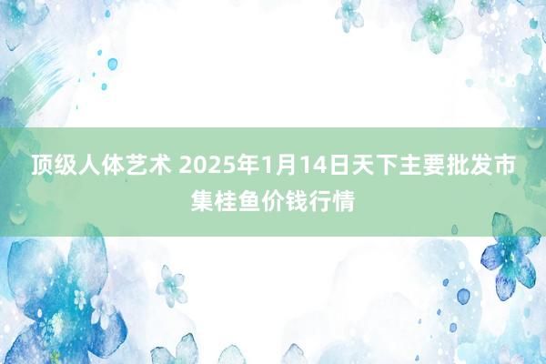 顶级人体艺术 2025年1月14日天下主要批发市集桂鱼价钱行情