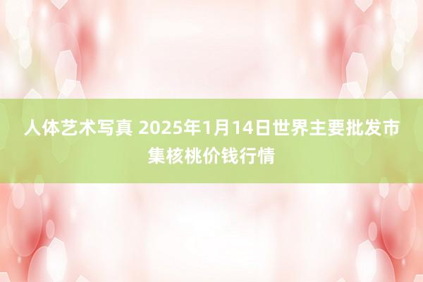 人体艺术写真 2025年1月14日世界主要批发市集核桃价钱行情