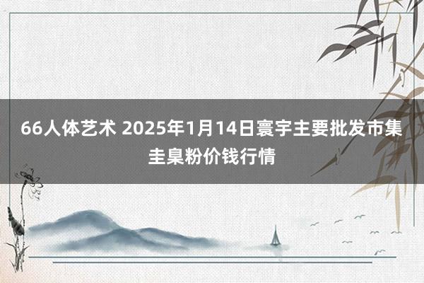66人体艺术 2025年1月14日寰宇主要批发市集圭臬粉价钱行情