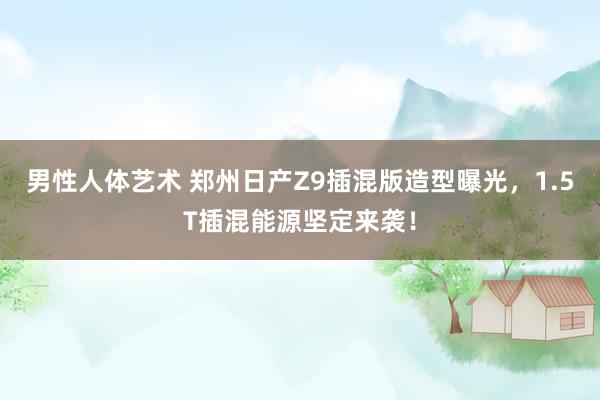 男性人体艺术 郑州日产Z9插混版造型曝光，1.5T插混能源坚定来袭！