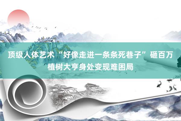 顶级人体艺术 “好像走进一条条死巷子” 砸百万植树大亨身处变现难困局