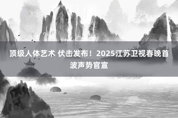 顶级人体艺术 伏击发布！2025江苏卫视春晚首波声势官宣