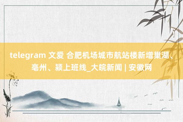 telegram 文爱 合肥机场城市航站楼新增巢湖、亳州、颍上班线_大皖新闻 | 安徽网