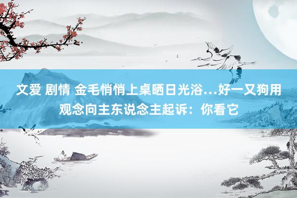 文爱 剧情 金毛悄悄上桌晒日光浴…好一又狗用观念向主东说念主起诉：你看它