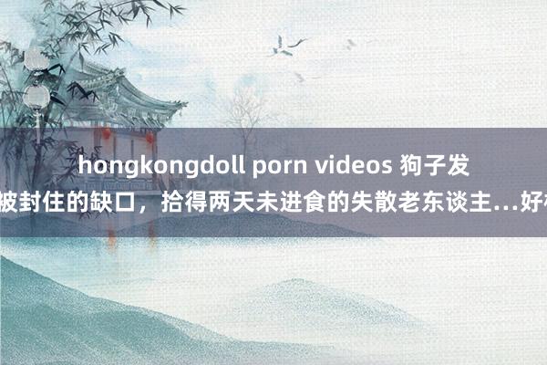 hongkongdoll porn videos 狗子发现被封住的缺口，拾得两天未进食的失散老东谈主…好棒！