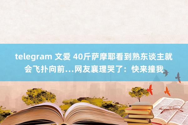 telegram 文爱 40斤萨摩耶看到熟东谈主就会飞扑向前…网友襄理哭了：快来撞我