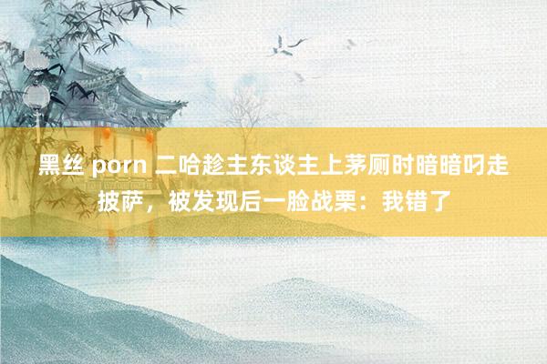 黑丝 porn 二哈趁主东谈主上茅厕时暗暗叼走披萨，被发现后一脸战栗：我错了