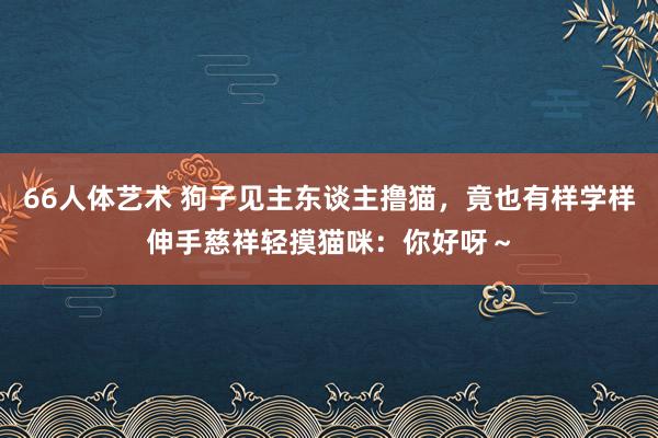 66人体艺术 狗子见主东谈主撸猫，竟也有样学样伸手慈祥轻摸猫咪：你好呀～