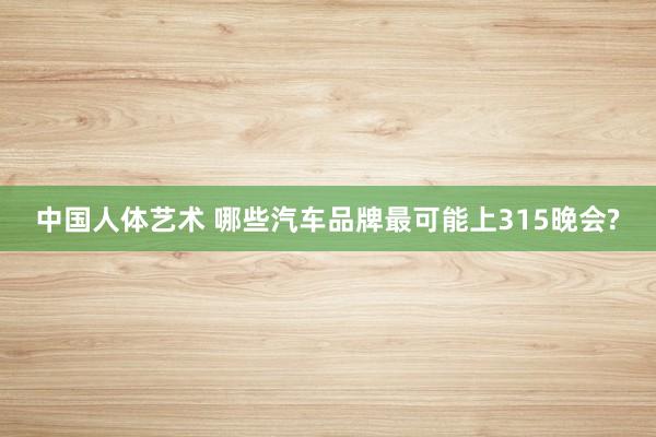 中国人体艺术 哪些汽车品牌最可能上315晚会?