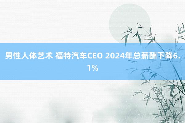 男性人体艺术 福特汽车CEO 2024年总薪酬下降6.1%