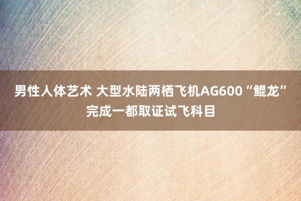 男性人体艺术 大型水陆两栖飞机AG600“鲲龙”完成一都取证试飞科目