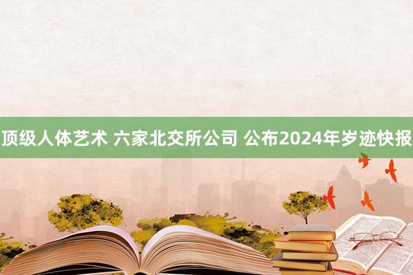 顶级人体艺术 六家北交所公司 公布2024年岁迹快报