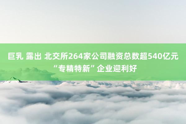 巨乳 露出 北交所264家公司融资总数超540亿元 “专精特新”企业迎利好