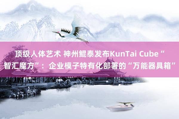 顶级人体艺术 神州鲲泰发布KunTai Cube“智汇魔方”：企业模子特有化部署的“万能器具箱”