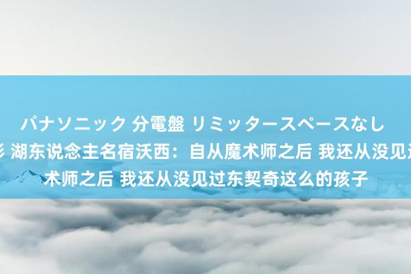 パナソニック 分電盤 リミッタースペースなし 露出・半埋込両用形 湖东说念主名宿沃西：自从魔术师之后 我还从没见过东契奇这么的孩子