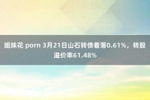 姐妹花 porn 3月21日山石转债着落0.61%，转股溢价率61.48%