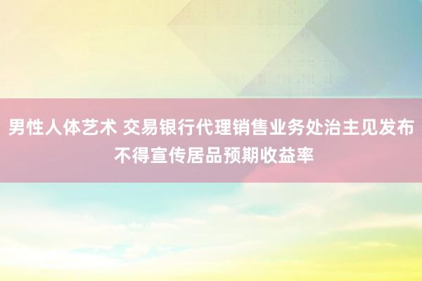 男性人体艺术 交易银行代理销售业务处治主见发布 不得宣传居品预期收益率