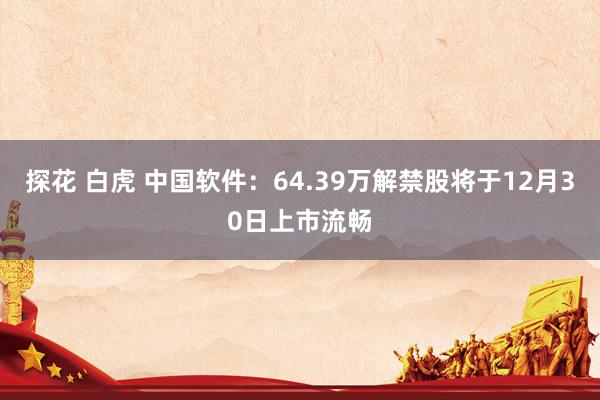 探花 白虎 中国软件：64.39万解禁股将于12月30日上市流畅
