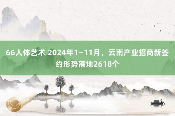 66人体艺术 2024年1—11月，云南产业招商新签约形势落地2618个