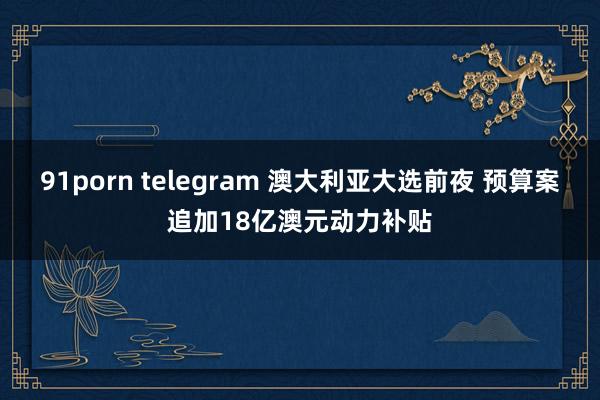 91porn telegram 澳大利亚大选前夜 预算案追加18亿澳元动力补贴