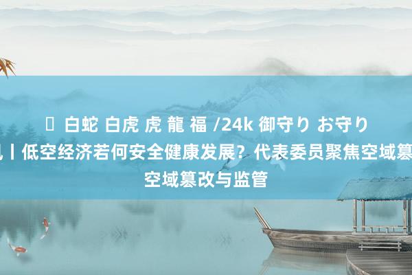 ✨白蛇 白虎 虎 龍 福 /24k 御守り お守り 两会闻风丨低空经济若何安全健康发展？代表委员聚焦空域篡改与监管