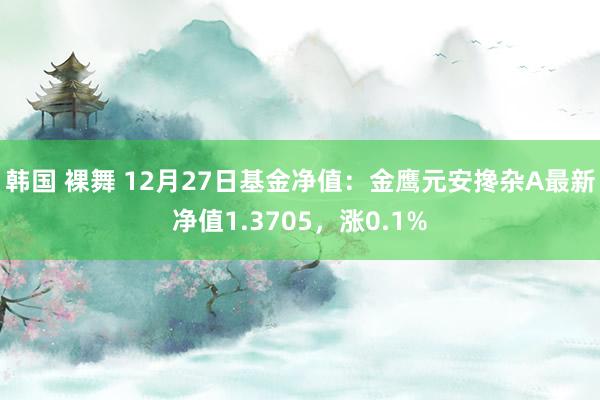 韩国 裸舞 12月27日基金净值：金鹰元安搀杂A最新净值1.3705，涨0.1%