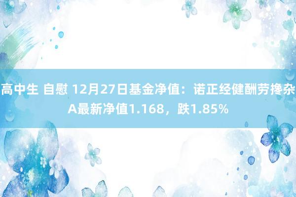 高中生 自慰 12月27日基金净值：诺正经健酬劳搀杂A最新净值1.168，跌1.85%
