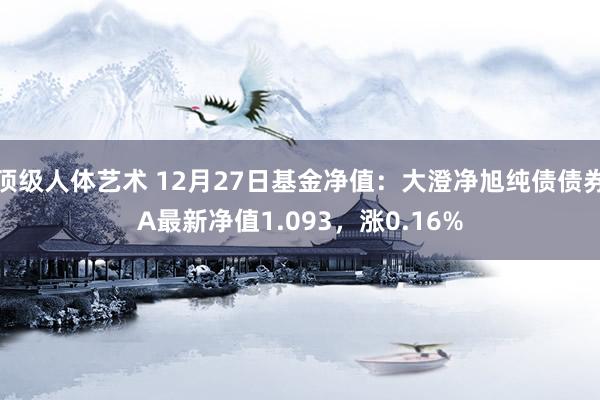 顶级人体艺术 12月27日基金净值：大澄净旭纯债债券A最新净值1.093，涨0.16%