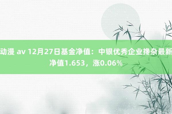 动漫 av 12月27日基金净值：中银优秀企业搀杂最新净值1.653，涨0.06%