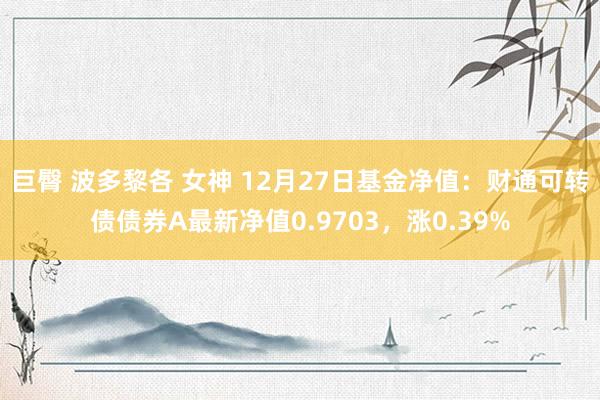 巨臀 波多黎各 女神 12月27日基金净值：财通可转债债券A最新净值0.9703，涨0.39%