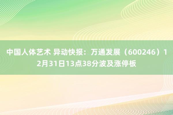 中国人体艺术 异动快报：万通发展（600246）12月31日13点38分波及涨停板