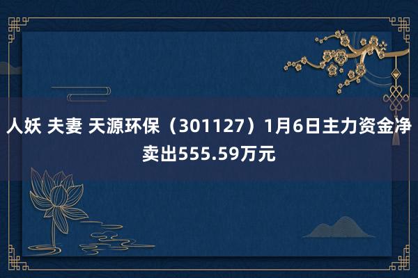 人妖 夫妻 天源环保（301127）1月6日主力资金净卖出555.59万元