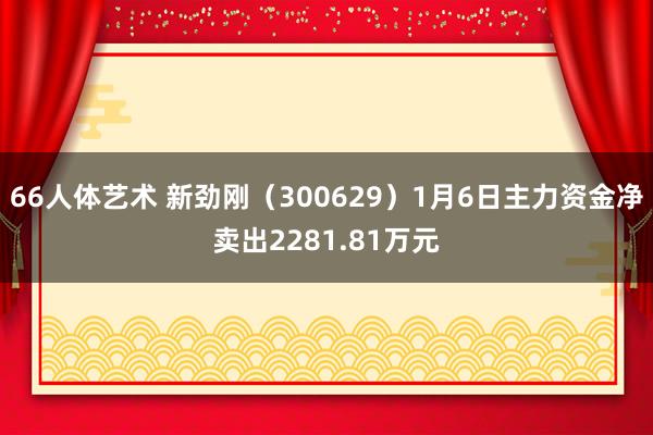 66人体艺术 新劲刚（300629）1月6日主力资金净卖出2281.81万元