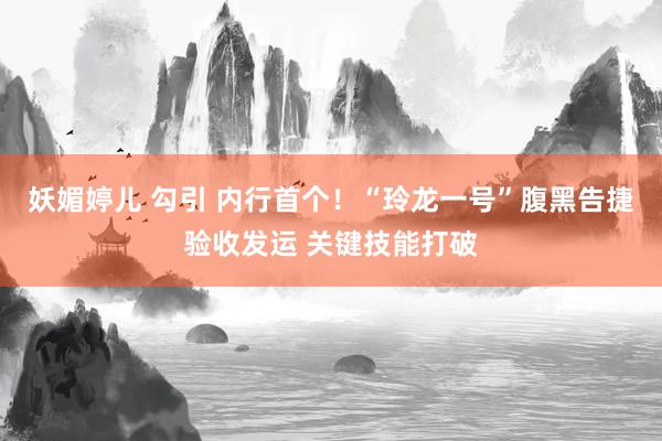 妖媚婷儿 勾引 内行首个！“玲龙一号”腹黑告捷验收发运 关键技能打破