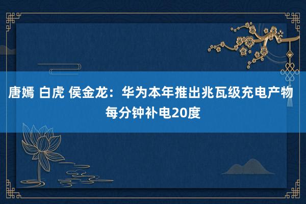 唐嫣 白虎 侯金龙：华为本年推出兆瓦级充电产物 每分钟补电20度