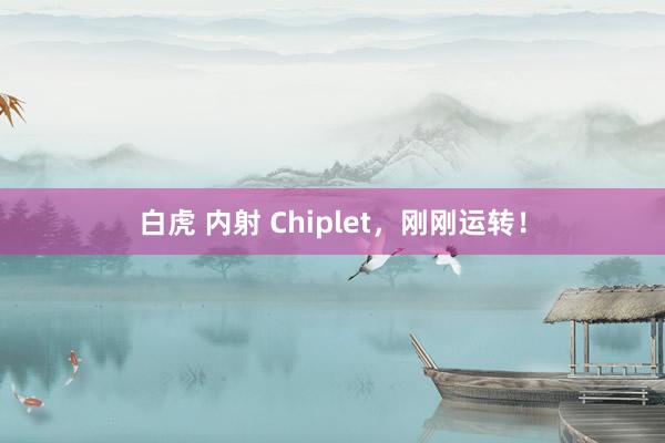 白虎 内射 Chiplet，刚刚运转！
