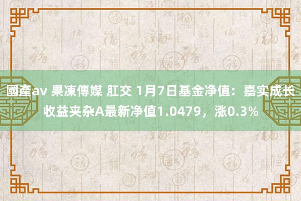 國產av 果凍傳媒 肛交 1月7日基金净值：嘉实成长收益夹杂A最新净值1.0479，涨0.3%