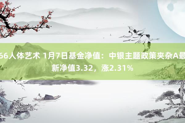 66人体艺术 1月7日基金净值：中银主题政策夹杂A最新净值3.32，涨2.31%