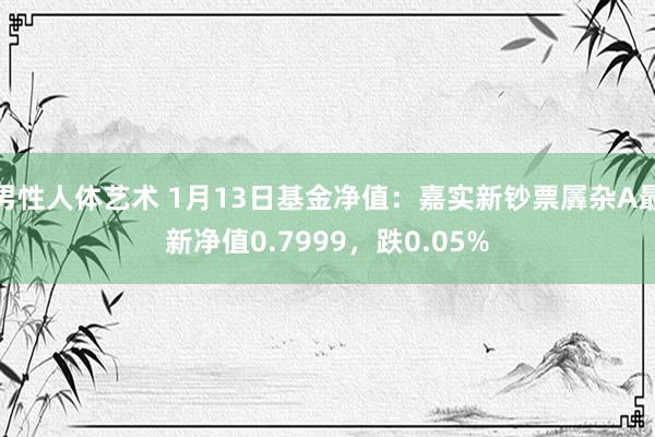 男性人体艺术 1月13日基金净值：嘉实新钞票羼杂A最新净值0.7999，跌0.05%