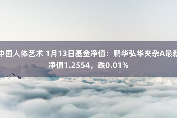 中国人体艺术 1月13日基金净值：鹏华弘华夹杂A最新净值1.2554，跌0.01%