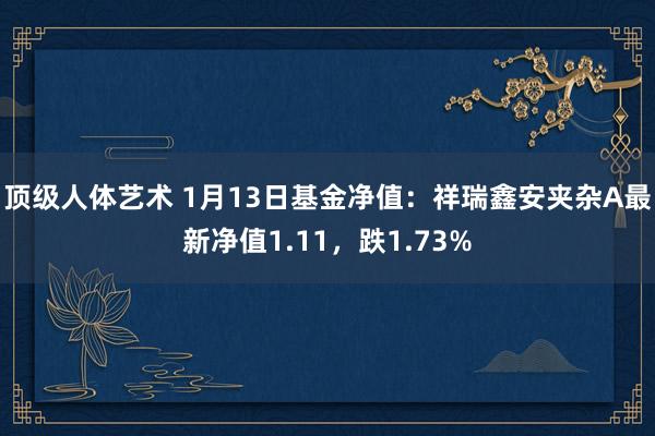 顶级人体艺术 1月13日基金净值：祥瑞鑫安夹杂A最新净值1.11，跌1.73%