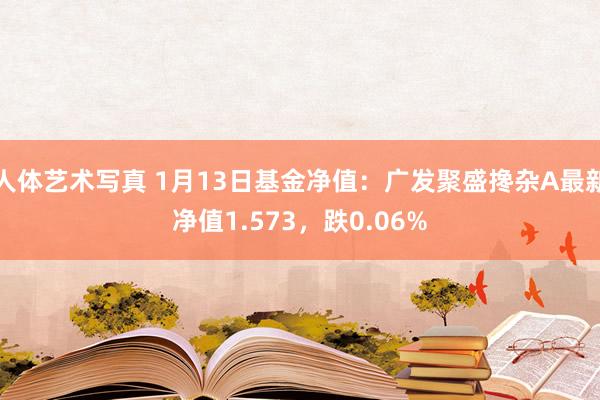 人体艺术写真 1月13日基金净值：广发聚盛搀杂A最新净值1.573，跌0.06%